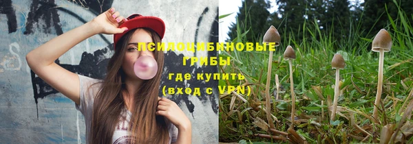 ALPHA-PVP Заводоуковск