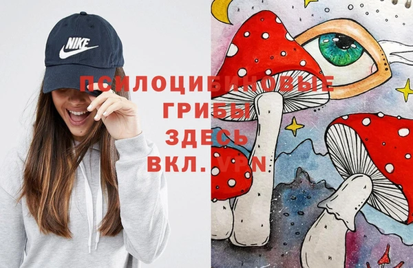 соль ск Шали