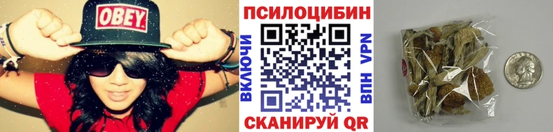 KRAKEN ТОР Сасово Псилоцибиновые грибы Psilocybe дарнет шоп